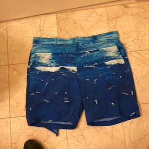 Polo golf shorts NWT says golf but seems beach theme 38W